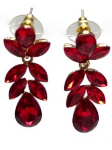 Fashion Earrings